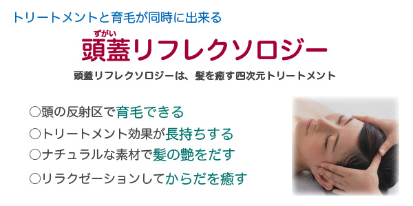 頭蓋リフレクソロジー